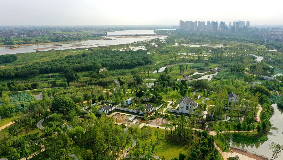 合川三江湿地公园图片