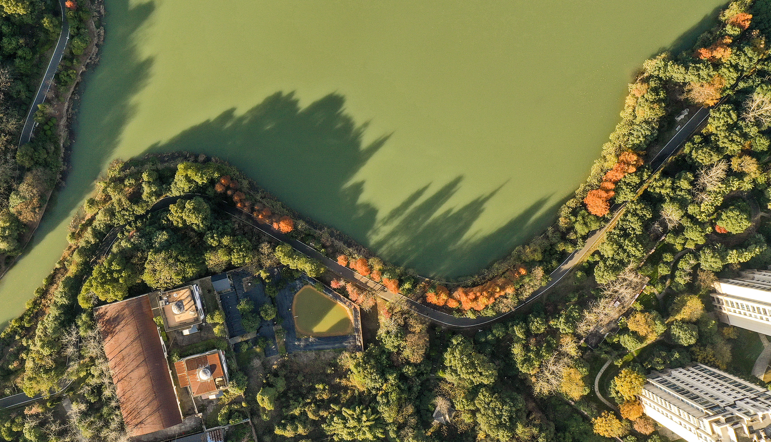 人民公园内,市民在锻炼身体.市民在人民公园娱乐休闲.