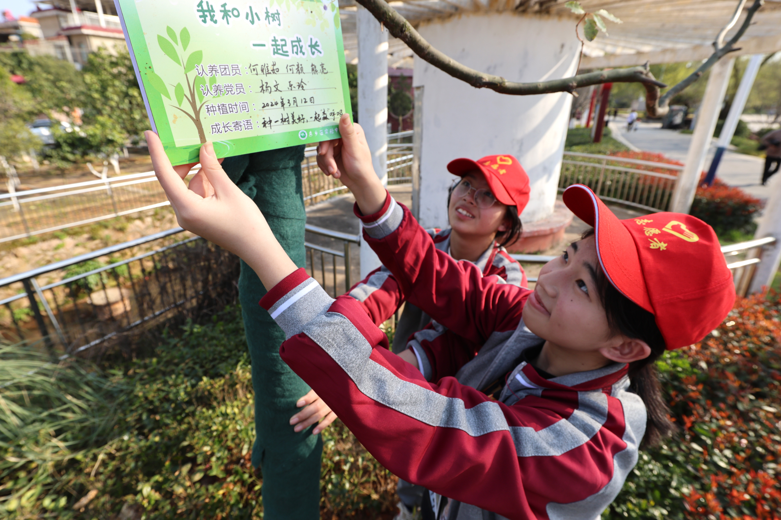 东乡实验中学校花图片