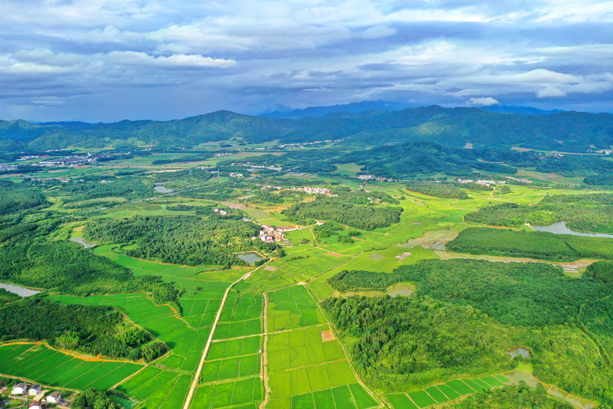 金溪:绿意盎然乡村美--抚州新闻网