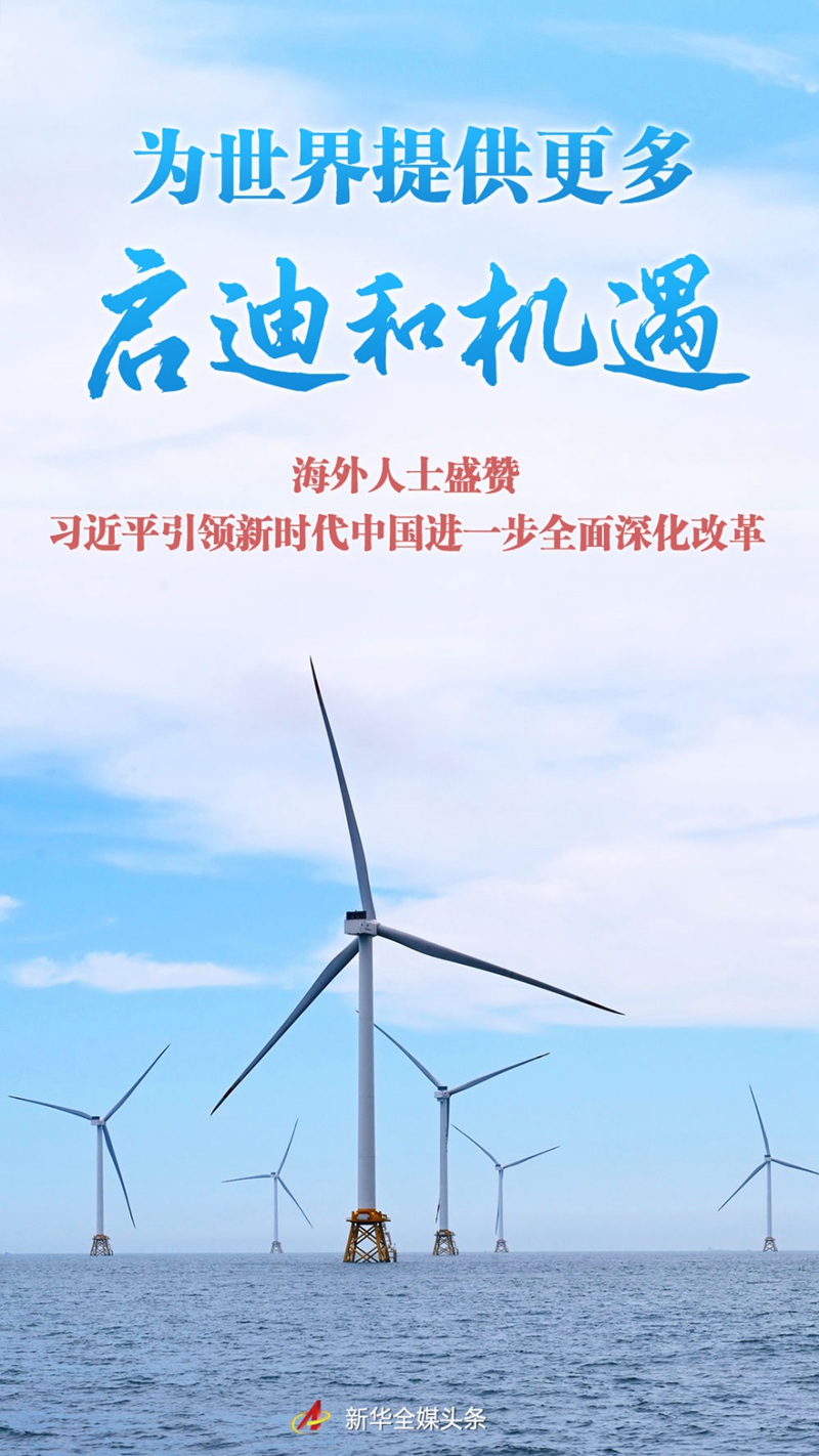 不只是缪斯或烈女：被忽视的19世纪女哲学家群像